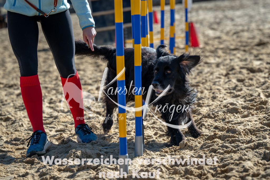 1130_ZZ91358 | kk-dogfotos