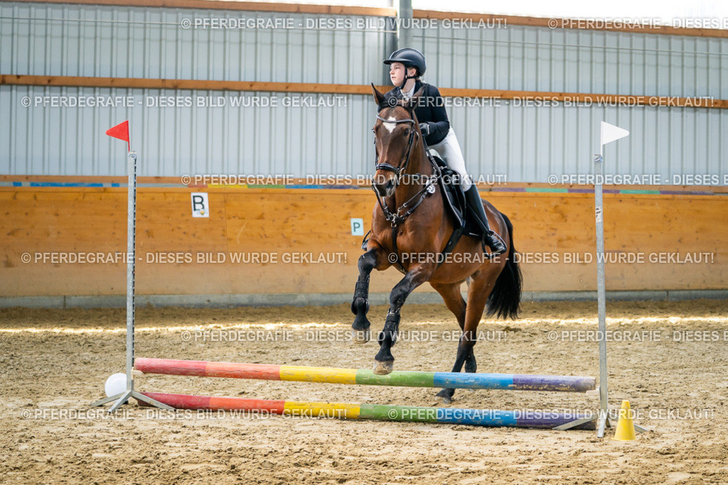 DSC01754 | Pferdegrafie