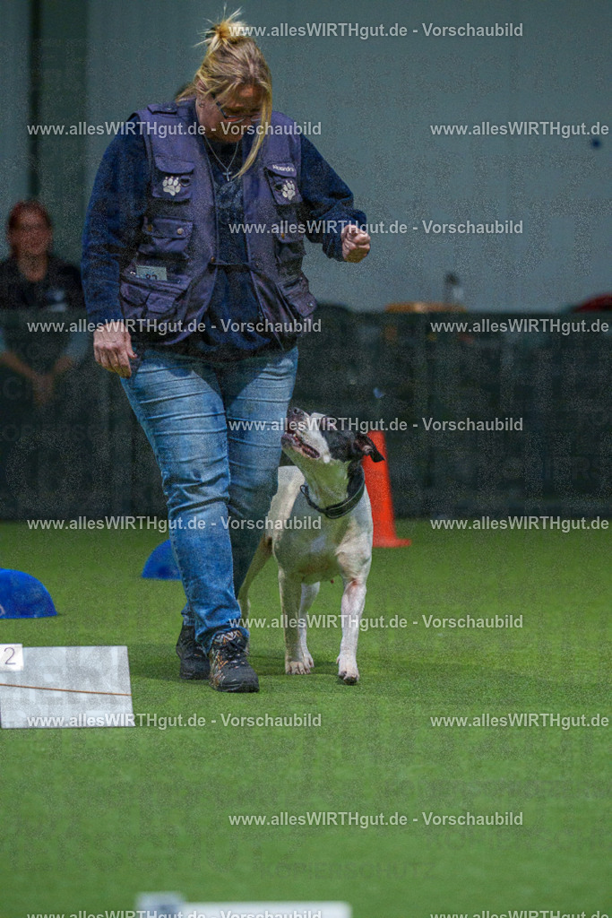 7R507762 | Professionelle Tierfotografie in Mönchengladbach von Daniel Wirth (allesWIRTHgut). Liebevolle & natürliche Bilder von Hunden & Katzen für unvergessliche Erinnerungen.