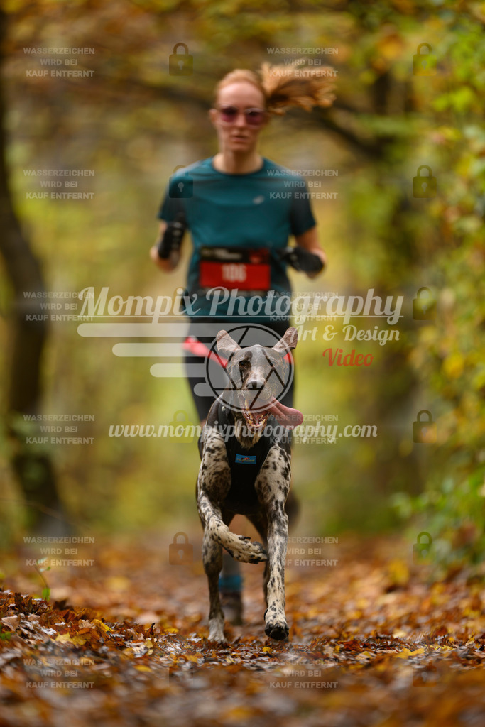 MompixPhotography_CD7S_DI_CCL-44 | mompixphotography