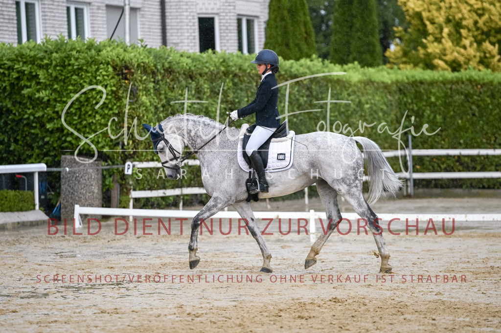 Schugtsche-Aluta25-55.Dressurreiterprf.L1Tr-310 | Schugtsche Fotografie - Realisiert mit Pictrs.com