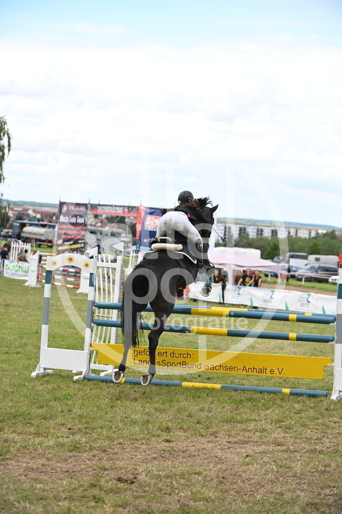 DSC_7141 | sattelsport - Realisiert mit Pictrs.com