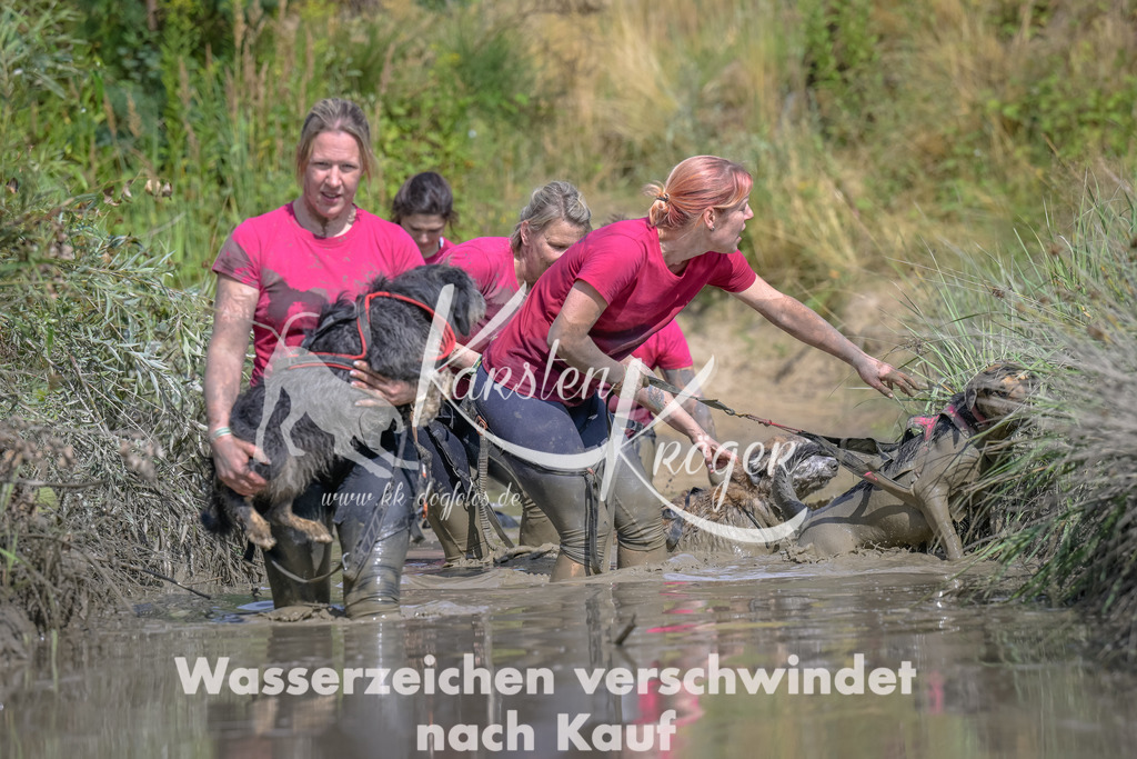 1620_ZZ95421 | kk-dogfotos