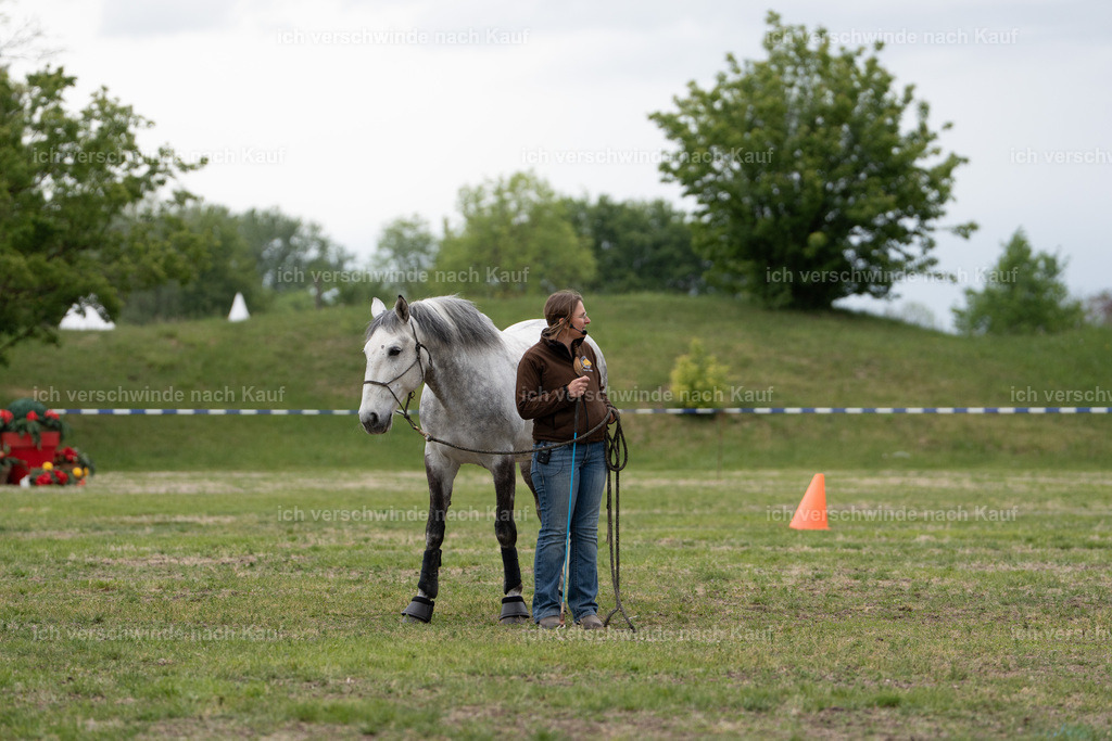 PI26_show_Jan_Picutures7C_06756.jpg | working equitationturnier fotograf videograf stoibphotography marixx film working equitation deutschland reitsport turnierfotografie eventfotografie equestrian events