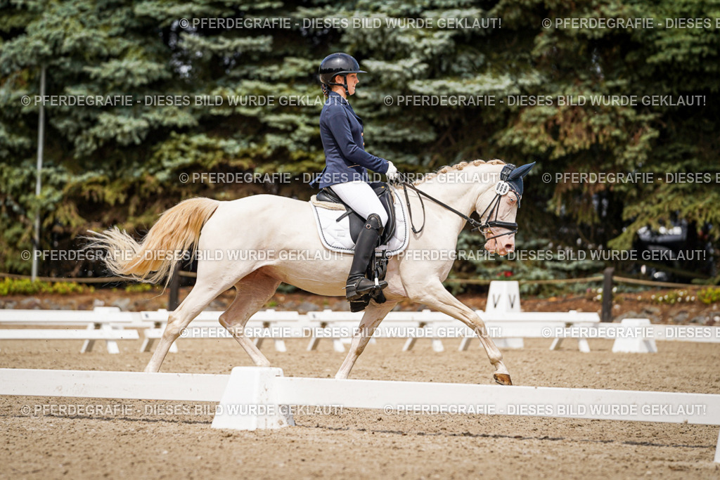 DSC04272 | Pferdegrafie