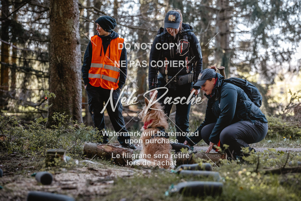 6Z1A0720 | nelerasche