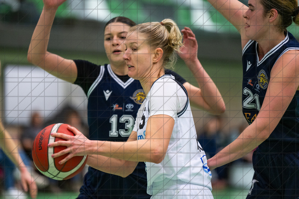 2. DBBL Nord 25/26 | Spieltag 10 | BBC Osnabrück vs. Hürther BC | //  07.12.25: 2. DBBL Nord 25/26 | Spieltag 10 | BBC Osnabrück vs. Hürther BC / Osnabrück / Deutschland  //   CREDIT:www.bullenfotos.de, Martin König, Hörner Weg 40, D-49078 Osnabrück, +4917663732967 // Nutzung und Weitergabe nur zu den vereinbarten Zwecken. Presseanfragen an Ersteller. Alle Rechte beim Ersteller. Honorierung nach MFM. - Realisiert mit Pictrs.com