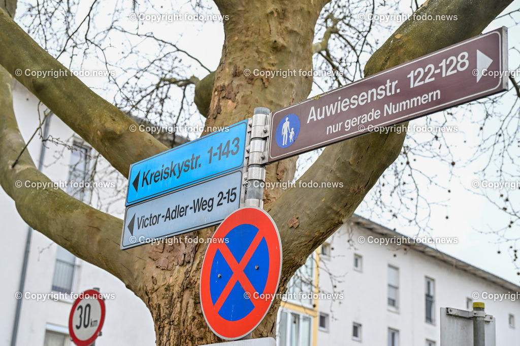 Linz Auwiesen_ Brandanschlag_ Feuerteufel_ 19.03.2024-5 | 19.03.2024, Linz, AUT, Auwiesen, im Bild Feuerteufel, Brandanschlag, Muellinsel, Wohnhaus, Mistkuebel, Muelleimer, Muellcontainer, Feuer