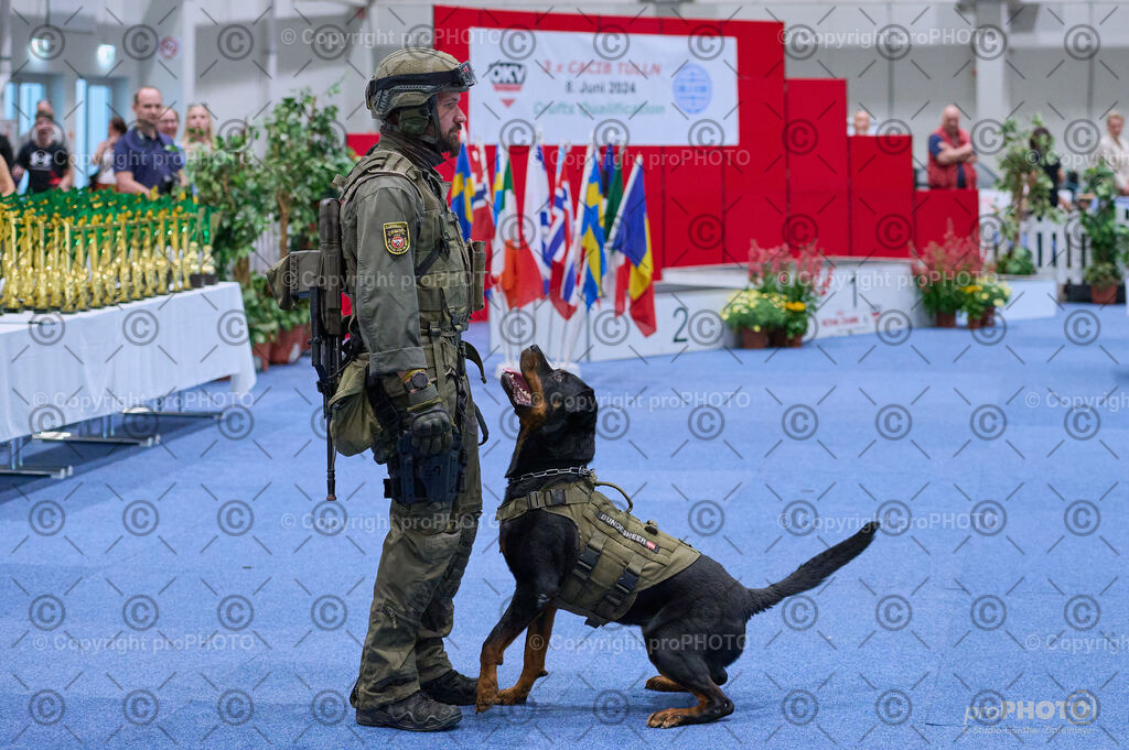 202406_ÖKV-IHA-Tulln24_DSC_3563 | proPHOTO - Realisiert mit Pictrs.com