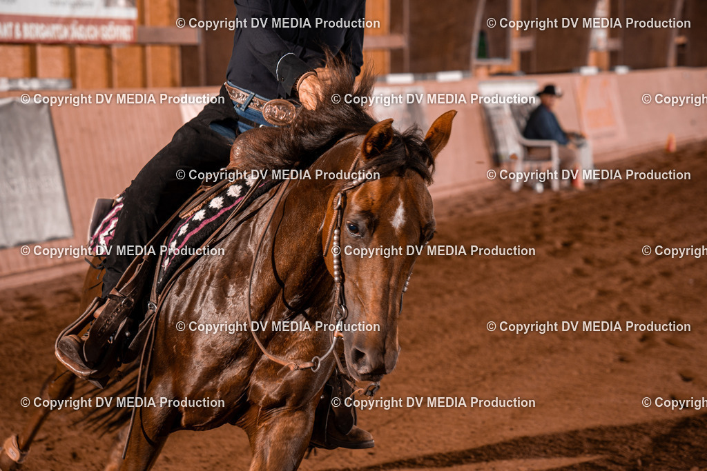 NE201434 | dv-media-shop - Realisiert mit Pictrs.com