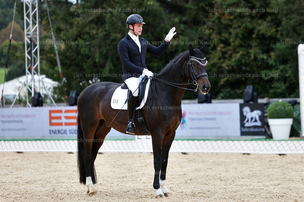 3-213-Dressur M_-StoibPH-2509 | working equitationturnier fotograf videograf stoibphotography marixx film working equitation deutschland reitsport turnierfotografie eventfotografie equestrian events