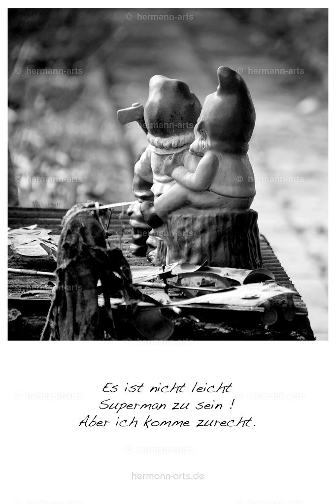 PK_Zitate_10x15_BW-103 | Photo Foto Kunst Art schwarzweiss Bilder Rheine Münster Berlin Blumen 