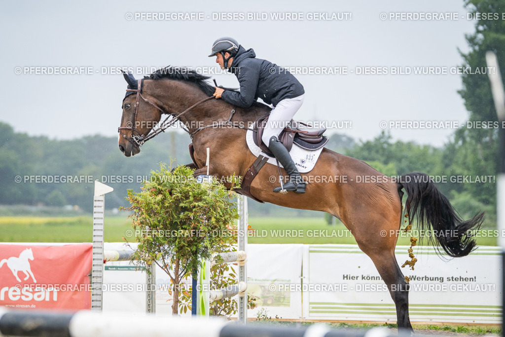 DSC02919 | Pferdegrafie