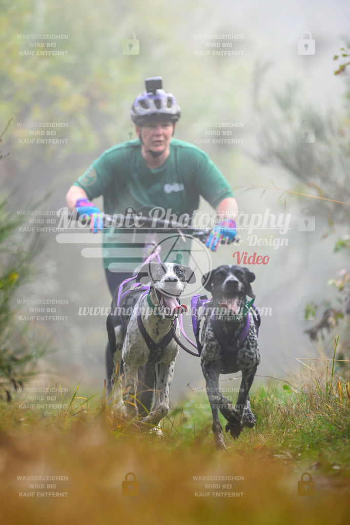 MompixPhotography_20TSB_E4_DS2-1 | PayLife