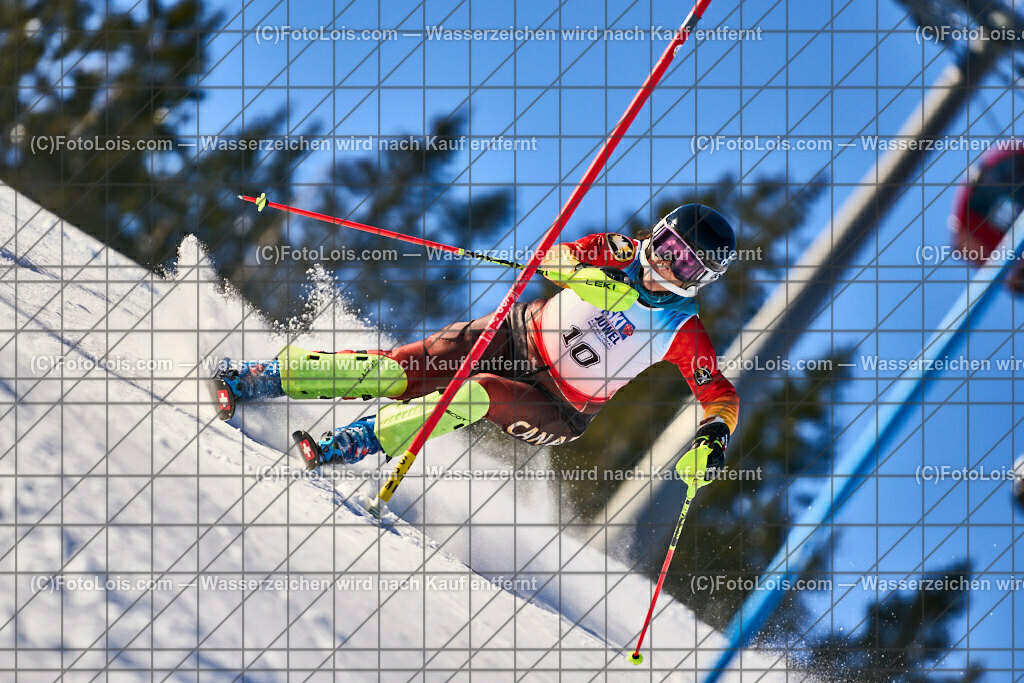 ALP5812_MASTERS-Cup_SL_Koffler-Boyman Tiana | (C)FotoLois.com, Alois Spandl. FIS Masters-Cup Wildschönau 2024, Slalom auf der Piste Auffach FIS Schatzberg, Kategorie C Damen, So 14. Jänner 2024.