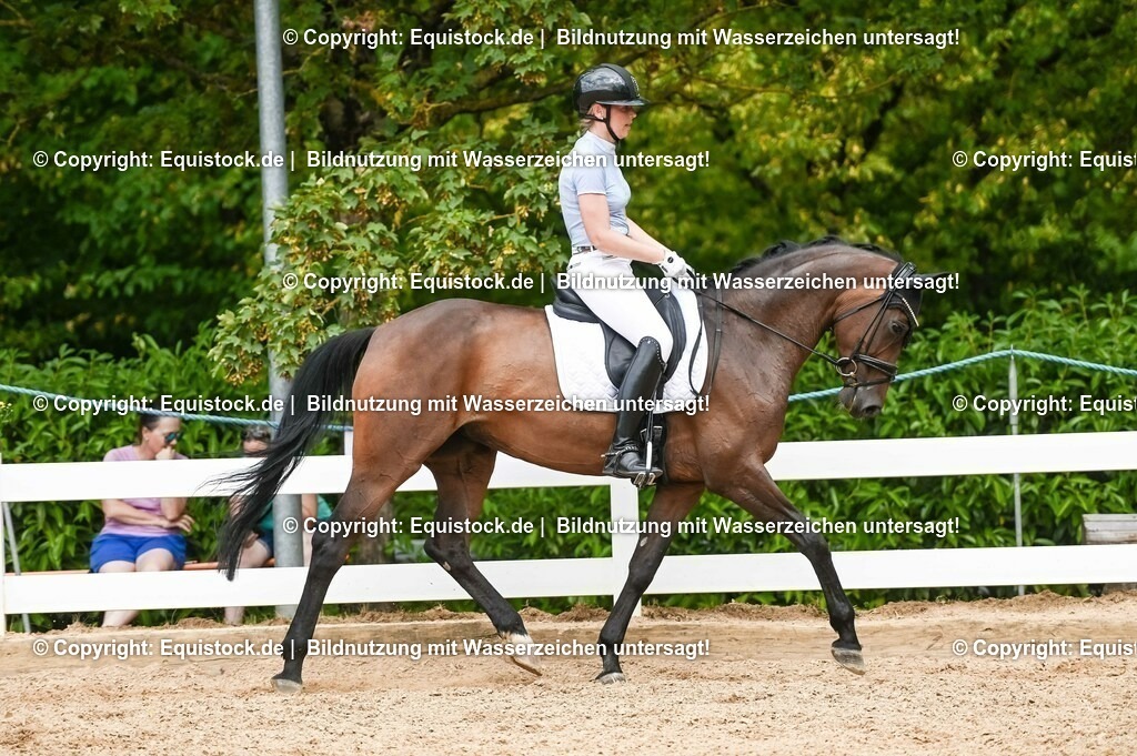 20230715_02_Dressurreiterprüfung Kl.L_0421 | equistock