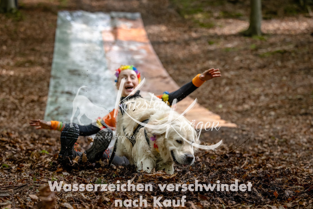 1135_ZZ91390-Bearbeitet | kk-dogfotos