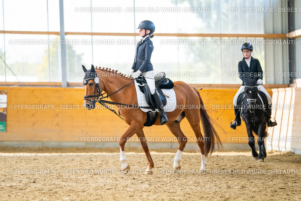 DSC01358 | Pferdegrafie