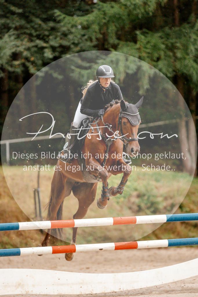 3I6A5725 | Stimmungsvolle Portraits und Reitsportfotografie im Ruhrgebiet und im Münsterland.

Pferdefotografie, Hundefotografie, Tierfotografie, Reportagen, Portraits von Tier und Mensch, Turnierfotografie in Bochum, Recklinghausen, Marl, Haltern am See, Dülmen.. - Realisiert mit Pictrs.com