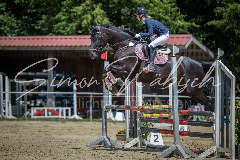 20260704-_3LI9688 | Tierfotografie Pferde, Hunde, Katzen, Haustiere.
Turnierfotografie Reitturniere, Reiten, Springreiten, Dressur in Hanau, dem Main-Kinzig-Kreis und dem Rhein-Main- Gebiet um Frankfurt