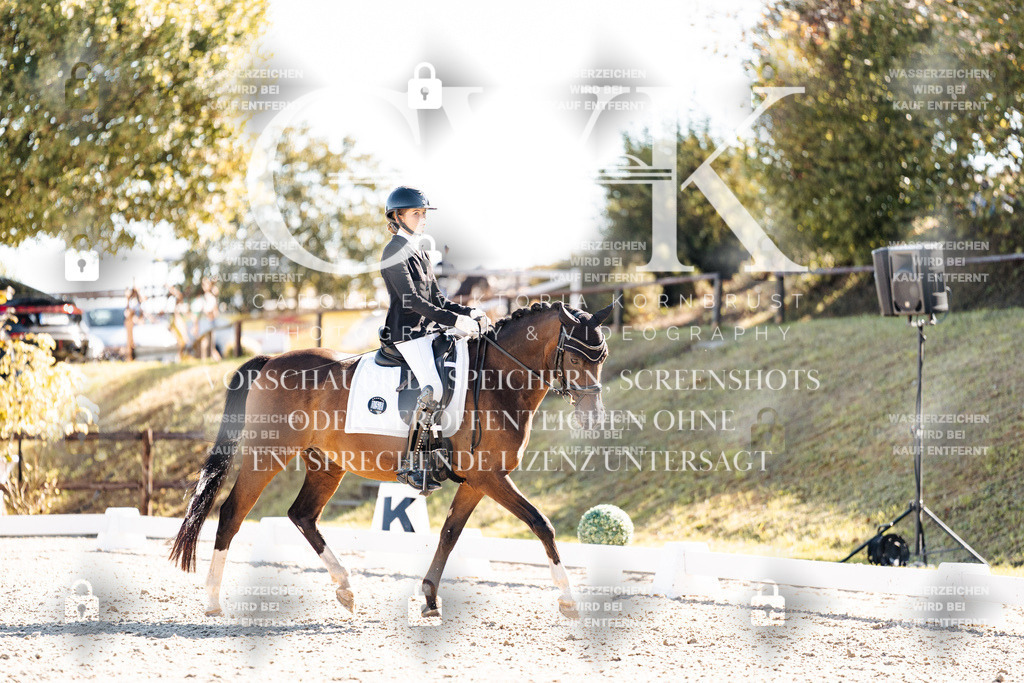 CK908544 | Turnierfotografie Pferdefotografie Trier Rheinland-Pfalz Pferdesport Reitsport Tierfotografie Sportfotografie Pferdevideo Pferdevideografie Equestrianvideography equestrianphotography  - Realisiert mit Pictrs.com
