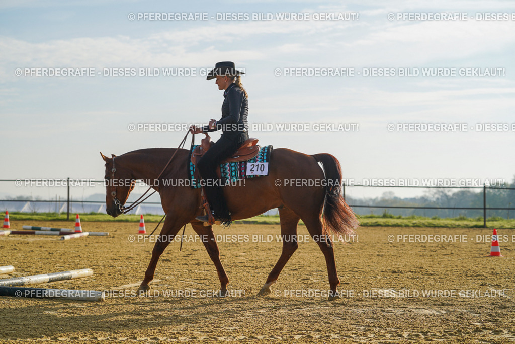 DSC00107 | Pferdegrafie