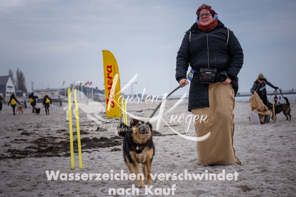 1204_ZZ91890 | kk-dogfotos