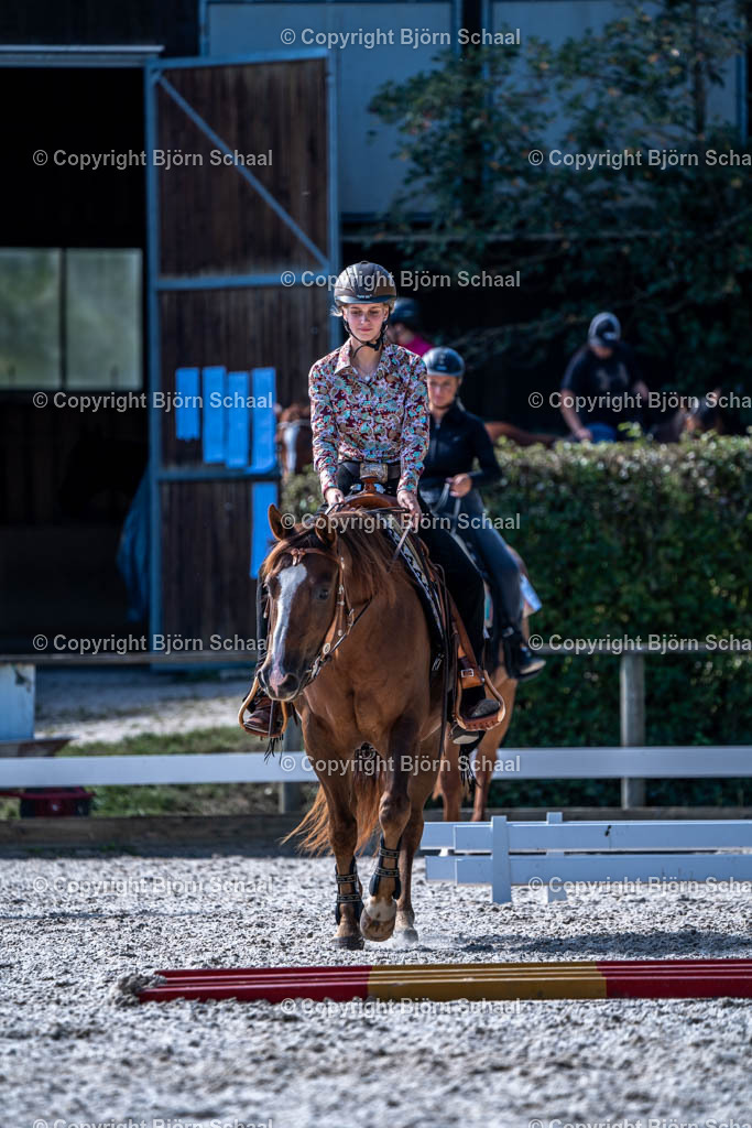 HOB08977 | BS-foto