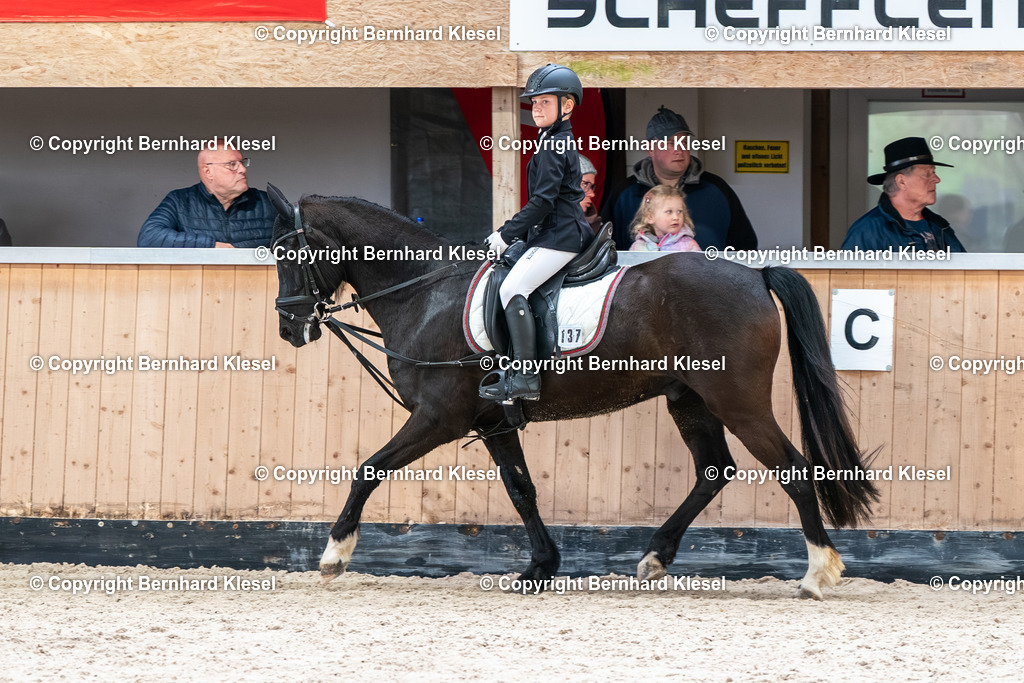 2A901496 | foto-team-bernhard - Realisiert mit Pictrs.com