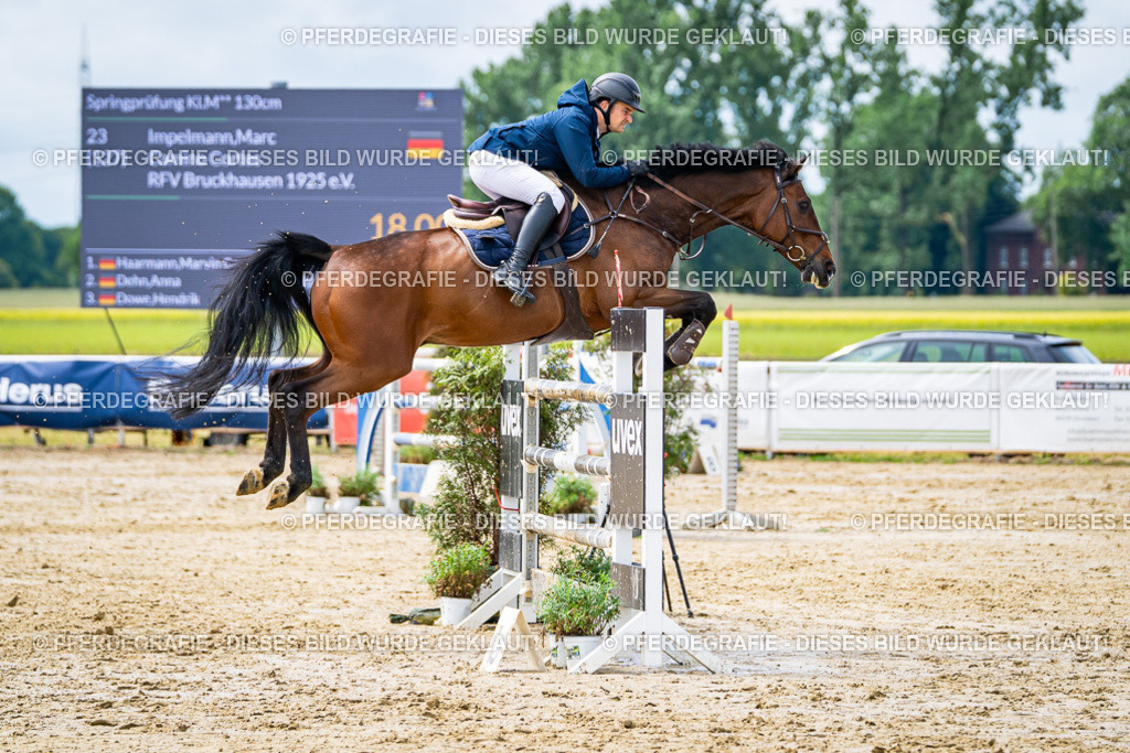 DSC04044 | Pferdegrafie