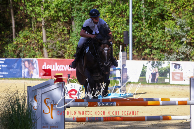 DKP43426 | Turniersportfotografie; Pferdefotografie; Dressurfotografie