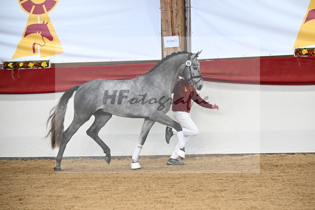 Kat.-Nr. 65 v. Fynch Hatton_Berger _ Kopp_3265178 | hf-fotografie - Realisiert mit Pictrs.com