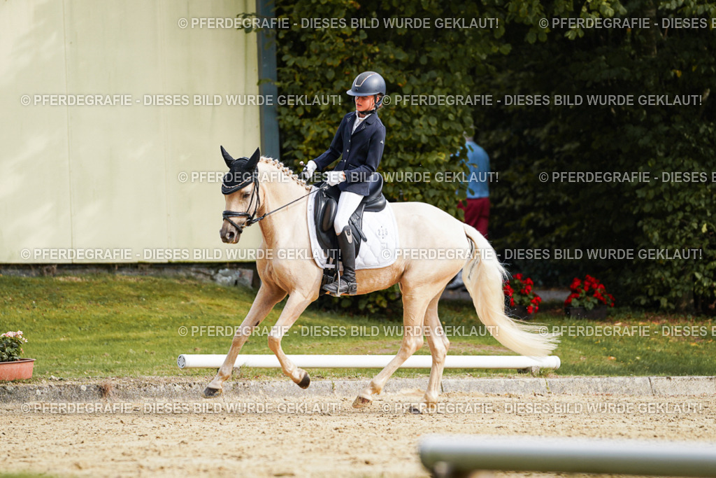 DSC04893 | Pferdegrafie