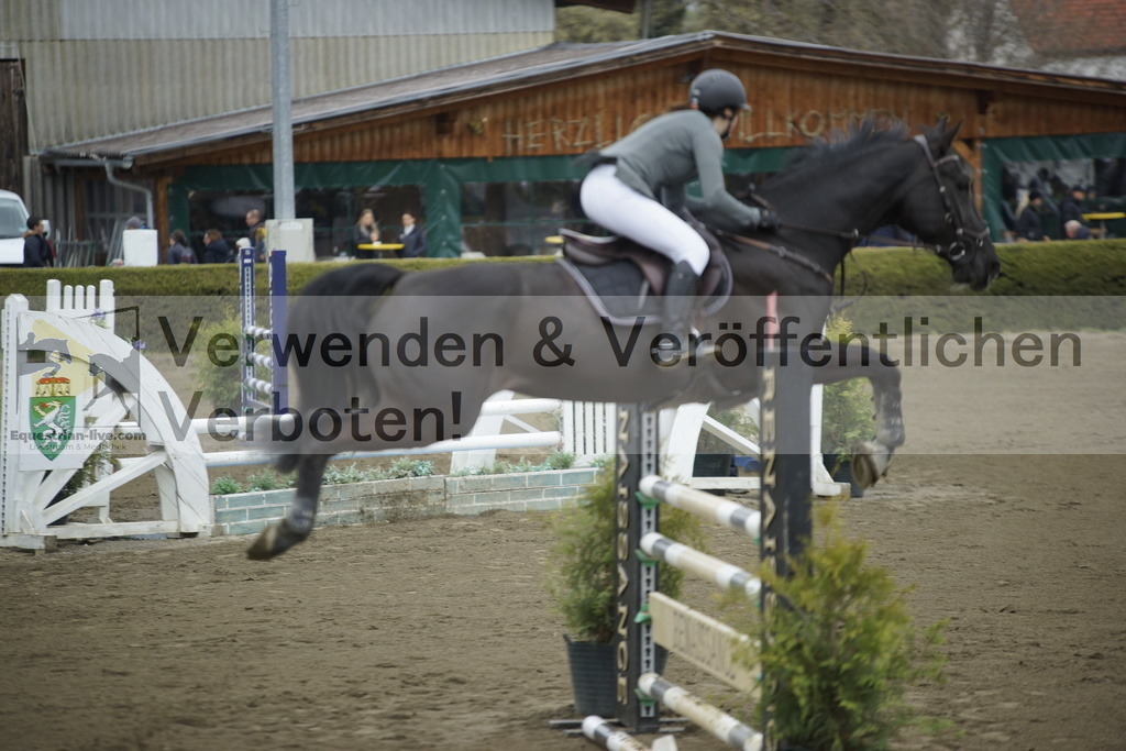 _DSC7139 | equestrian-live-com