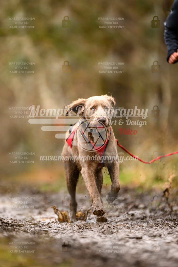 MompixPhotography_CDSM24_SA_CCS-209 | PayLife