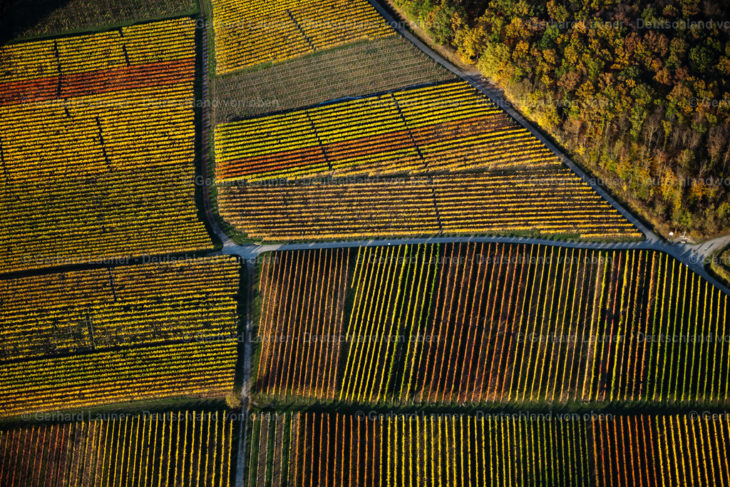 4042399 | Weinbergslandschaft an der Mainschleife bei Escherndorf und Nordheim
