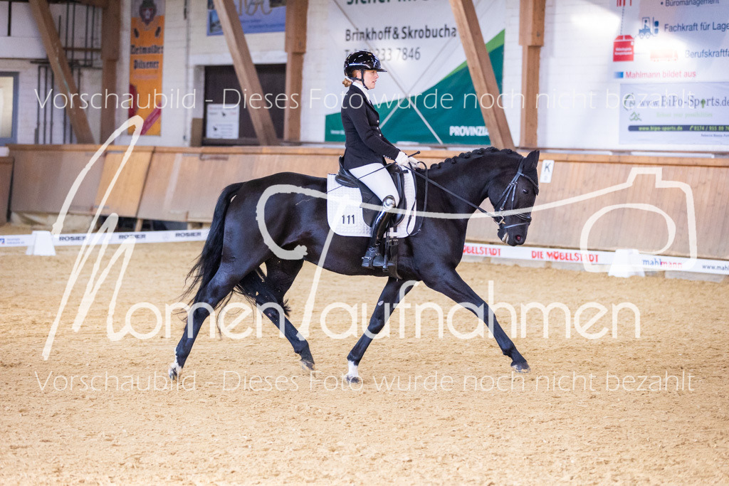 Sth-A-Dre-1St-216 | MomenTaufnahmen Pferdesportfotos