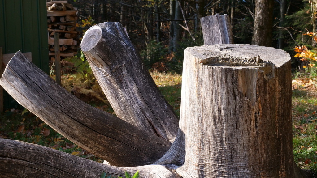 P1055184 | klausulrichmoeller