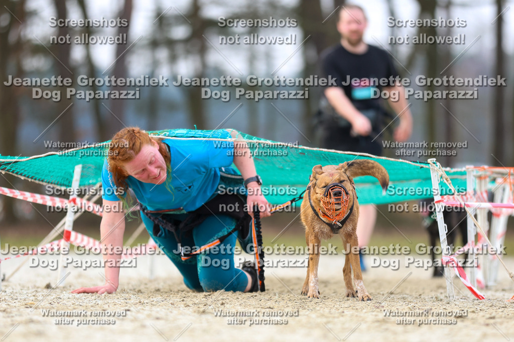 Dog Paparazzi - Strongdog North Mrz26-4053 | Dog Paparazzi Jeanette Grottendiek Fotografie & Videografie - Realisiert mit Pictrs.com