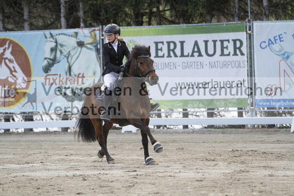 _MG_8907 | equestrian-live-com