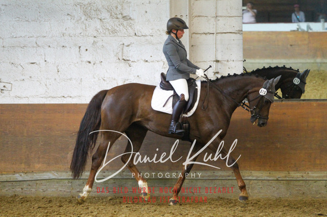 DKP43569 | Turniersportfotografie; Pferdefotografie; Dressurfotografie