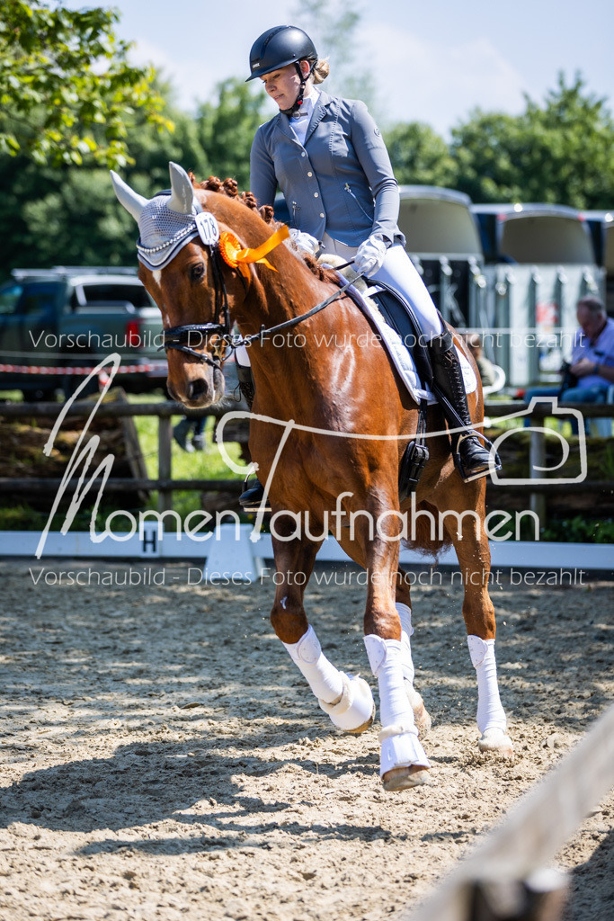 Donop24-L-Dre-145 | MomenTaufnahmen Pferdesportfotos