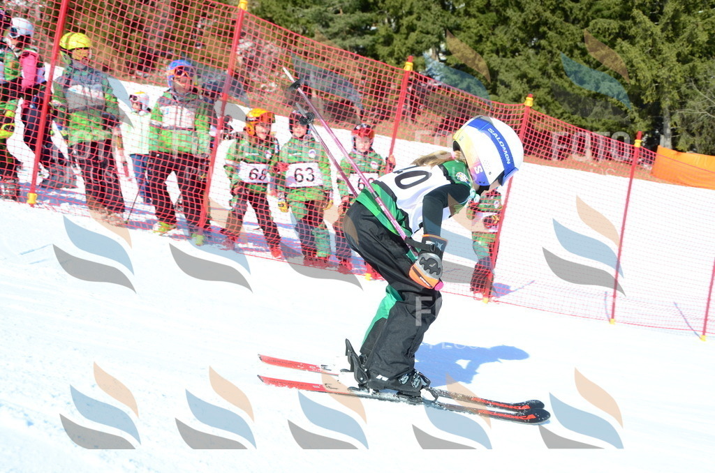 C5045 | holidayphoto