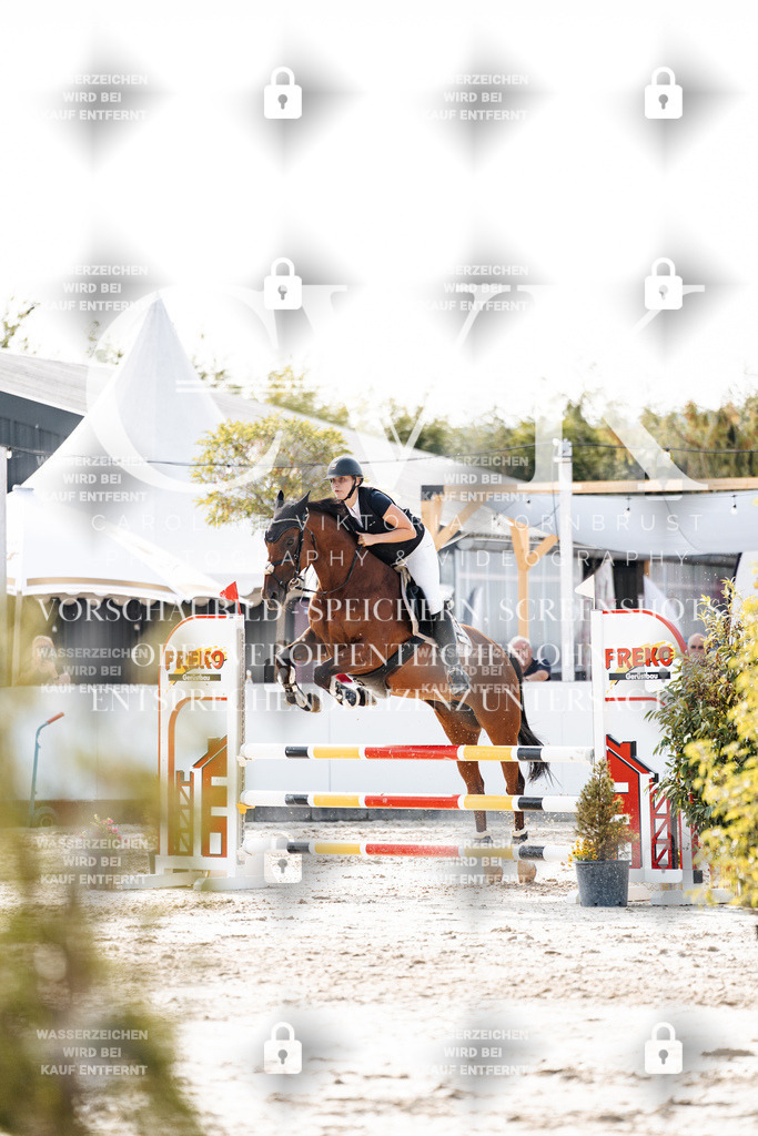CK906099 | Turnierfotografie Pferdefotografie Trier Rheinland-Pfalz Pferdesport Reitsport Tierfotografie Sportfotografie Pferdevideo Pferdevideografie Equestrianvideography equestrianphotography  - Realisiert mit Pictrs.com