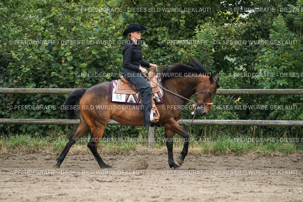 DSC03394 | Pferdegrafie