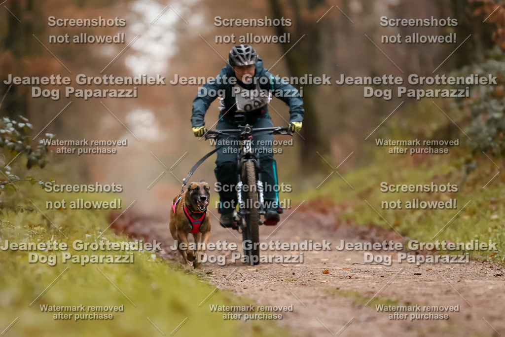 Dog Paparazzi - Speedhunter Mannheim  2025-27 | Dog Paparazzi Jeanette Grottendiek Fotografie & Videografie