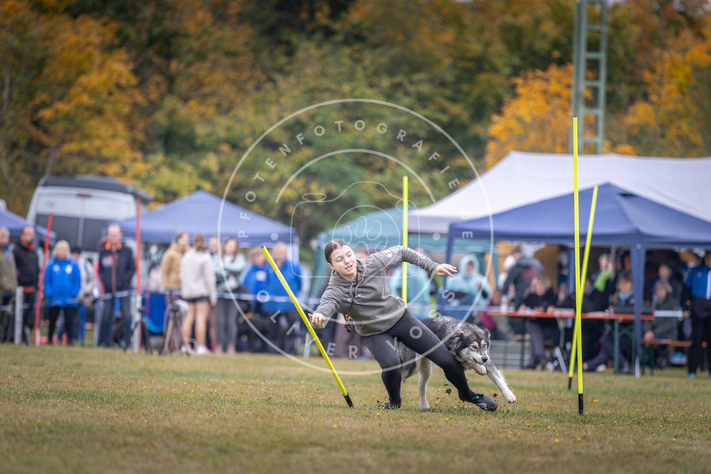 Pfotenfotografie_DV3A0908 | Hundefotografie, Tierfotograf, Pfotenfotografie, Fotoshooting Hund, Hunde Portrait, Hundesport, Hundeportraits, Heideshooting, Hunde, Sportfotograf, Hundefotograf, Turnierhundsport, THS,  - Realisiert mit Pictrs.com