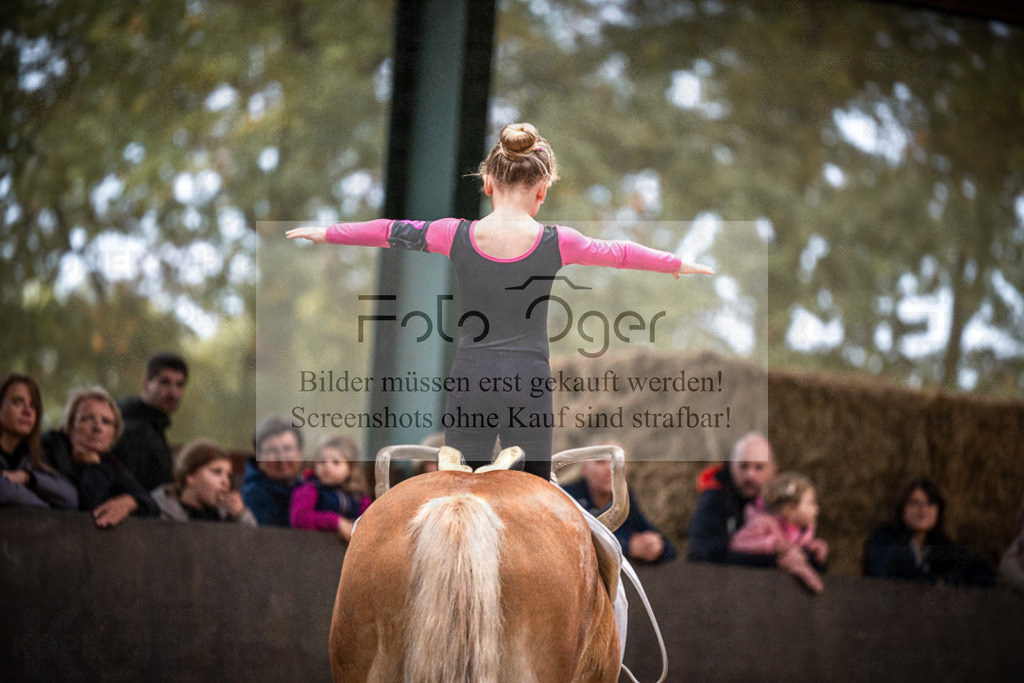 DOS_0169 | Entdecke hochwertige Reitturnierfotos von Foto Oger. Professionell, emotional und authentisch – jetzt Lieblingsmomente im Shop bestellen.Deutschlandweite Turnierfotografie. - Realisiert mit Pictrs.com
