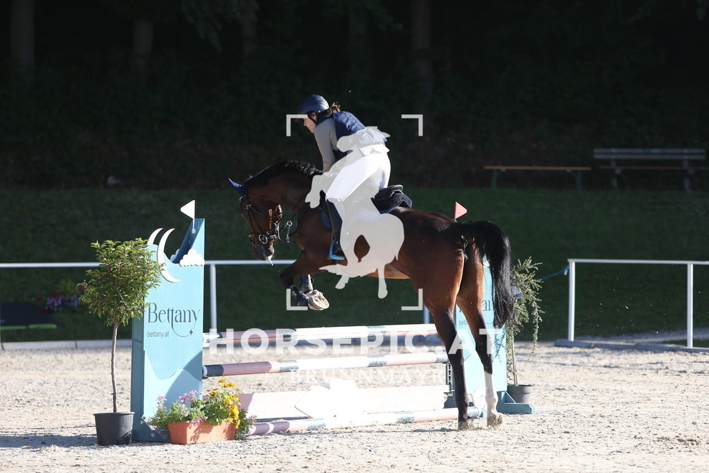 DL2Q1890 | Willkommen bei Brunnmayr - Design & Fotografie – Ihrem Spezialisten für Reitturniere und Pferdeveranstaltungen in Oberösterreich, Salzburg und Bayern! Seit über 17 Jahren sind wir leidenschaftlich dabei.