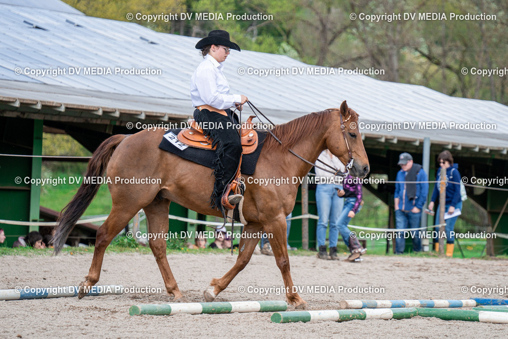 BAL02476 | dv-media-shop - Realisiert mit Pictrs.com